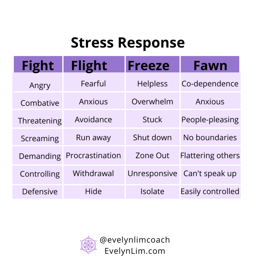 What Is The Fight Flight Freeze Fawn Stress Response My Self Help And 