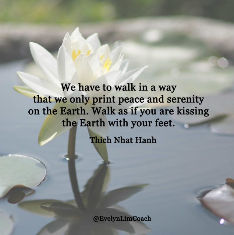 15 Best Mindfulness Quotes by Thich Nhat Hanh - Abundance Coach for